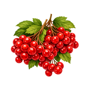 Гладка